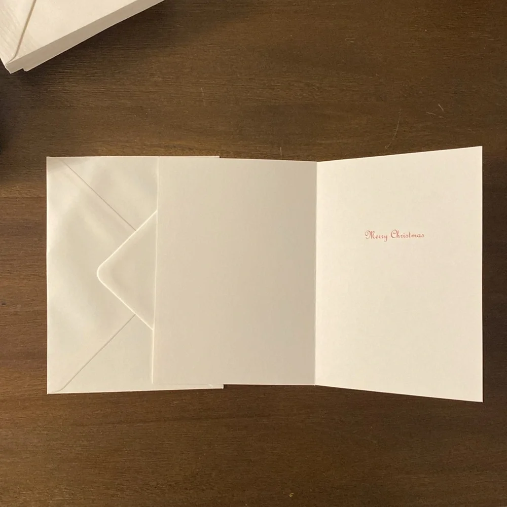24 Punch Studios Snowman and Cardinal Christmas Cards and Envelopes (89180)